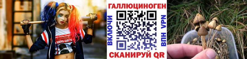 Галлюциногенные грибы мицелий  купить наркотик  blacksprut ссылка  Коркино 