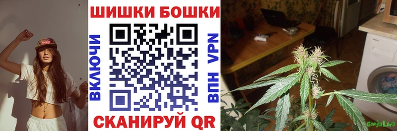 Марихуана сатива Коркино